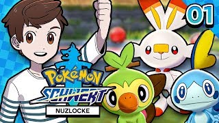 Unser NEUES Abenteuer 😍 Pokémon Schwert Nuzlocke [upl. by Dyolf]