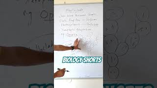 What is Phylloclade viralbiology biology botany taxonomy [upl. by Margarette]