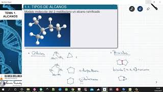 TEMA 1 ALCANOS  11 TIPOS DE ALCANOS [upl. by Ikoek]