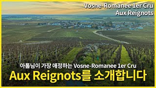 Engsub Vosne Romanee 1er Cru Aux Reignots [upl. by Ohcirej]