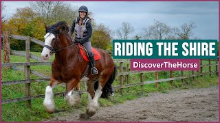 Riding the Shire Horse in England [upl. by Oinotla66]