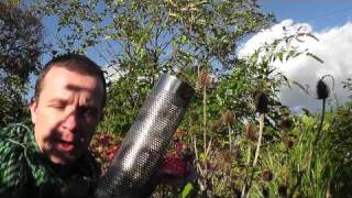 How to attract goldfinches Alex Sally nyjer feeder top tip wales england hd [upl. by Brittni]