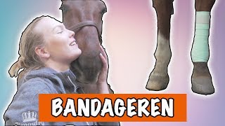 Hoe doe je bandages om  PaardenpraatTV [upl. by Luelle]