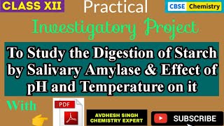 Digestion of Starch by Salivary Amylase  Chemistry Investigatory Project  PDF  CBSE 12  2023 [upl. by Damita463]