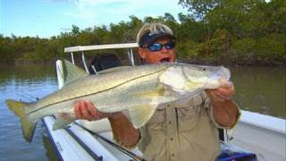 Snook Fishing Florida Everglades National Park with DOA Lures [upl. by Anil]