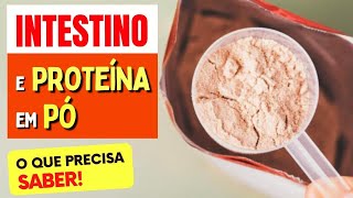 INTESTINO e PROTEÍNA EM PÓ Whey Albumina  O que você PRECISA SABER [upl. by Bernadina]