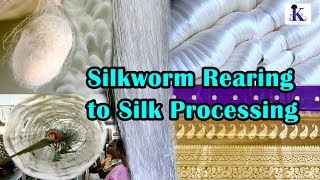 Silkworm rearing to silk processing [upl. by Sanalda]