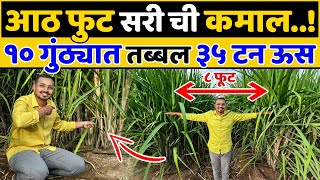 8 फूट सरी किती फायद्याची उत्पन्न होईल तिप्पट🤔🤑💯Sugarcane Farming A to Z  Indian Farmer Marathi [upl. by Graehl]