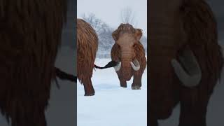 Columbian Mammoth Woolly Mammoth And African Elephantshort [upl. by Anehsak]