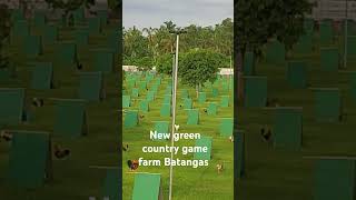 Green country game farm Batangas shortvideo shortviral [upl. by Pinchas]