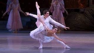 Grand Pas de Deux  Adagio  NUTCRACKER Tchaikovsky  National Opera of Ukraine [upl. by Suiddaht]