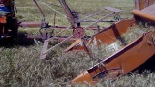 Allis Chalmers 40 combine at Hutchinson [upl. by Gautea]