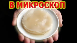 Чайный гриб Jun Джун Kombucha Комбуча [upl. by Gerfen252]