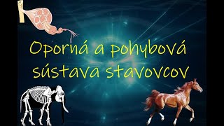 Biologia 7 rocnik  Oporná a pohybová sústava stavovcov [upl. by Odo945]