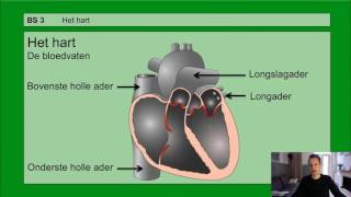 VMBO HAVO 2  De bloedsomloop  Basisstof 3 Het hart [upl. by Ocer248]