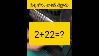 Pilli kosam locate thayary cheysadu facts amazingfacts telugu [upl. by Martella]