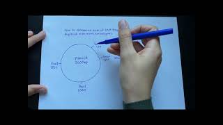 How to determine DNA fragment sizes from plasmid digested with restriction enzymes [upl. by Laynad]