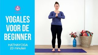 Yogales voor de beginner [upl. by Htilil538]