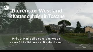 2 Katten ophalen in Toscane Italië en verhuizen naar Nederland  Privé Huisdieren Vervoer [upl. by Bibeau822]