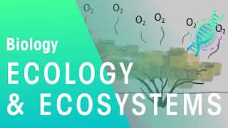 Adapting amp Living Together  Ecology amp Environment  Biology  FuseSchool [upl. by Colby]