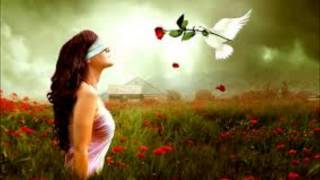 Love Songs in Piano Best Romantic Music [upl. by Ecinaej802]