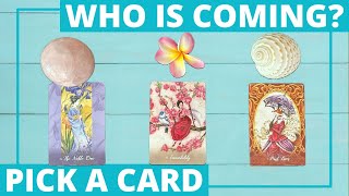 🔮🌺🐚Who is coming in🔮PICK A CARD timeless [upl. by Ddal]