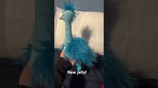 New jellycat🫶🙂 [upl. by Terza]