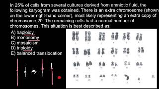 Haploidy Monosomy Mosaicism Triploidy and Balanced Translocation explained [upl. by Valentia]