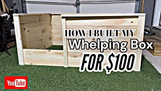 DIY Whelping Box For 100 Whelping Box [upl. by Muhcan]