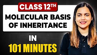 MOLECULAR BASIS OF INHERITANCE  Complete Chapter in 1 Shot  Class 12th BoardNCERT [upl. by Iznil]