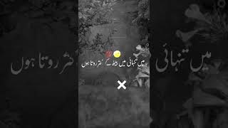 mery dil ka dard kis ny dekha hai poetry urdupoetry unfrezzmyaccount sad [upl. by Ydissak]