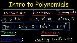 Polynomials  Classifying Monomials Binomials amp Trinomials  Degree amp Leading Coefficient [upl. by Bernice]