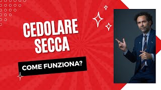 Cedolare Secca Come Funziona [upl. by Scrogan]