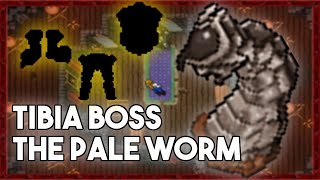 PL Tibia Boss  The Pale Worm Feaster of Souls Quest [upl. by Briano621]