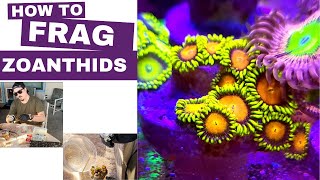 How to Frag Zoanthids [upl. by Eellek]