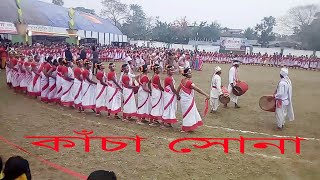 Kancha Sona Jhumoir Dance PROGRAM New HD Jhumoir Assam Deser Chai k Bagane [upl. by Rhoads]