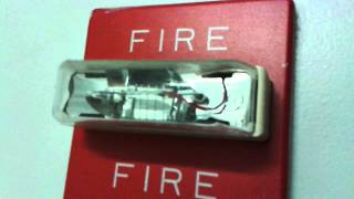 Sound Effect  Fire Alarm [upl. by Eseenaj]