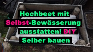 Bewässerung für Hochbeet selber bauen Selbstbewässerung spart Wasser und Nährstoffe Rückgewinnung [upl. by Bixler567]