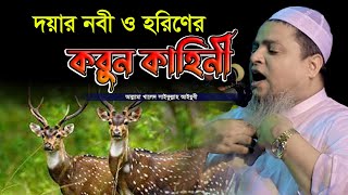 দয়ার নবী ও হরিণীর করুন কাহিনীখালেদ সাইফুল্লাহ আইয়ুবীkhaled saifullah ayubiNew Waz [upl. by Angi]