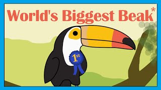 Toucan Song  Fun Dancing Bird Song for Kids  Smiley Rhymes [upl. by Chemash571]