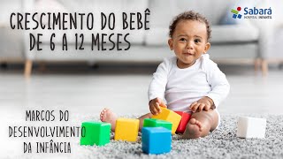 O que faz o bebê a partir dos 6 meses  Comunicação introdução alimentar e desenvolvimento motor [upl. by Licec709]