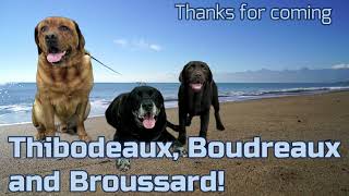 Broussard Thibodeaux and Boudreaux at Pawtown [upl. by Ferrell130]