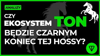 🔥 Czy Ekosystem TON Będzie CZARNYM KONIEM Hossy 2024  2025 🔥 [upl. by Donielle624]