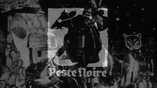 Peste Noire  Le rat de ville et le rat des champs Unofficial Video Clip  ST [upl. by Svensen826]