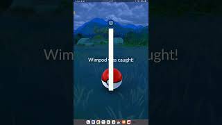 really guys I got wimpod 🤯🤯🤯🤯🤯🤯🤯🤯🤯🤯🤯🤯🤯🤯🤯🤯🤯🤯🤯🤯🤯🤯🤯 [upl. by Dinnage]