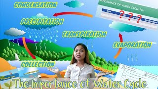 The Importance of Water Cycle  Grade 4 Science  Quarter 4 Week 3 [upl. by Enilegna]