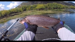 Fly fishing Panguitch lake from kayaks and pontoon boats [upl. by Nura581]