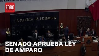 Pleno del senado aprueba en lo general reforma a Ley de Amparo  Las Noticias [upl. by Ahseki51]