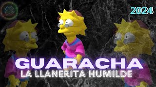 GUARACHITA NUEVA MIX 2024 AleteoZapateo [upl. by Hterag]