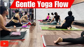 Gentle Yoga Flow  50 Minute All Levels Yoga Full Class [upl. by Anivram]